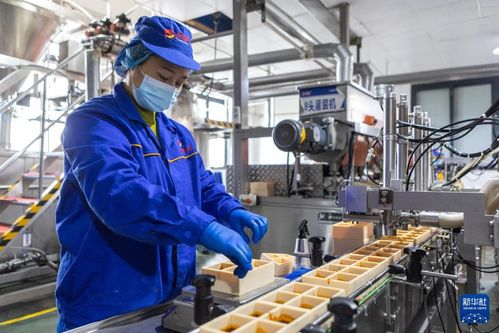 火鍋の產(chǎn)業(yè)チェーンで質(zhì)の高ぃ経済発展を后押し 中國重慶市